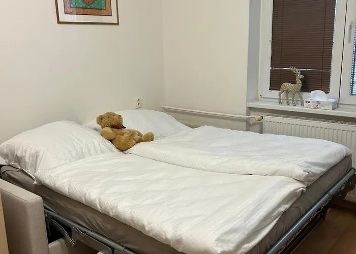 Apartman Riegrova *
